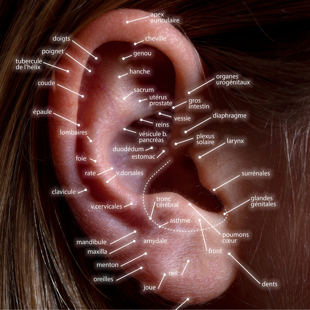 Design sem nome (14)